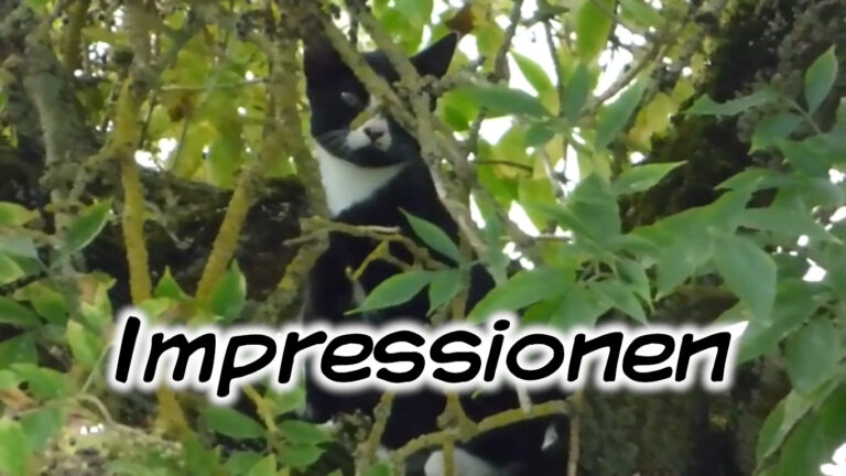 Impressionen