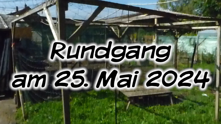 Rundgang am 25. Mai 2024