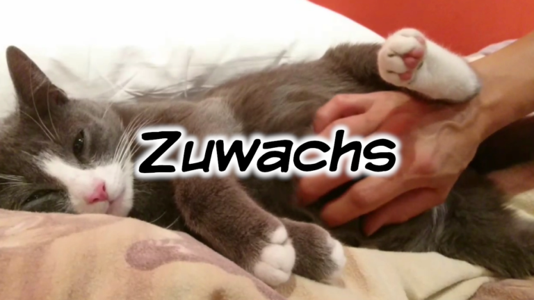 Zuwachs