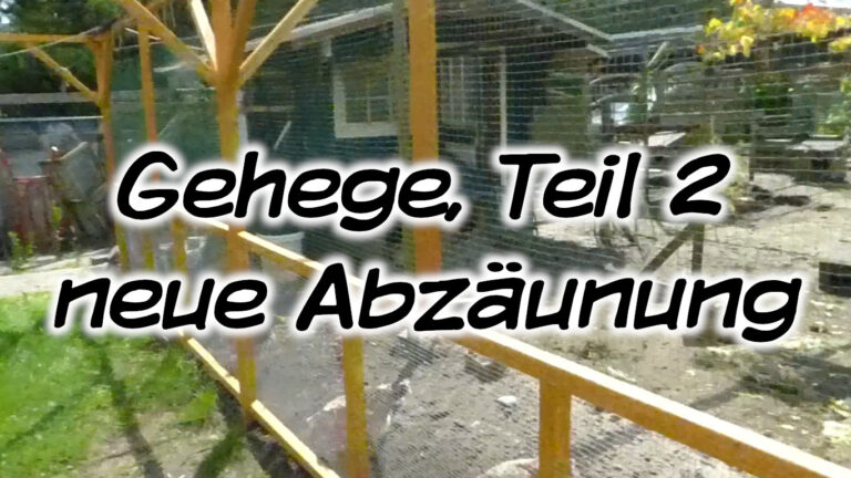 Gehege, Teil 2 – neue Abzäunung
