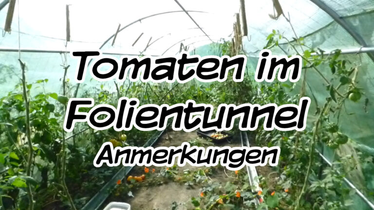 Tomaten im Folientunnel, Anmerkungen