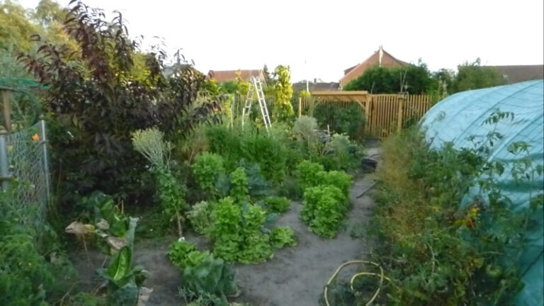 Zwischenruf am 2. September 2024