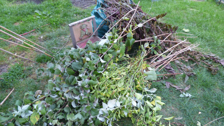 Kurzer Zwischenruf am 2. Oktober 2024