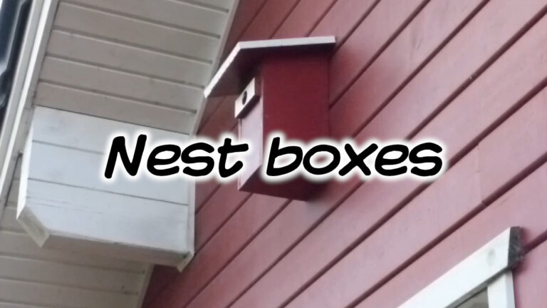 Nest boxes