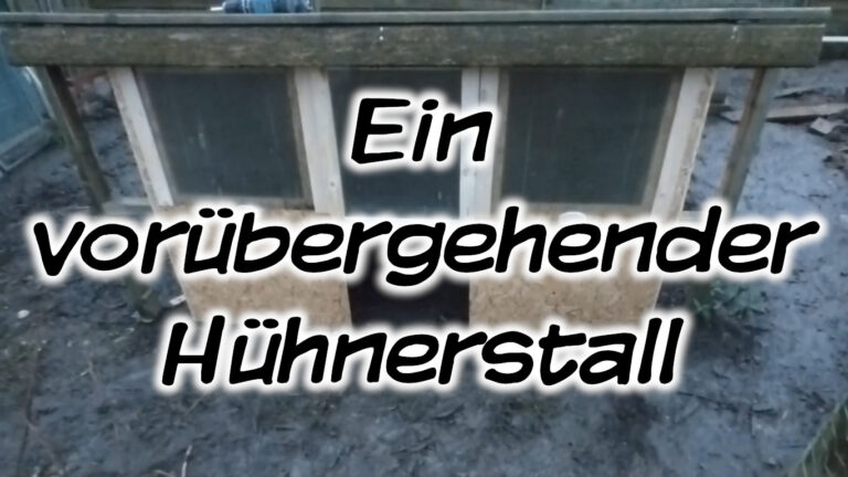 Ein vorübergehender Hühnerstall