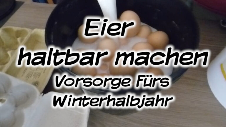 Eier haltbar machen – Vorsorge fürs Winterhalbjahr