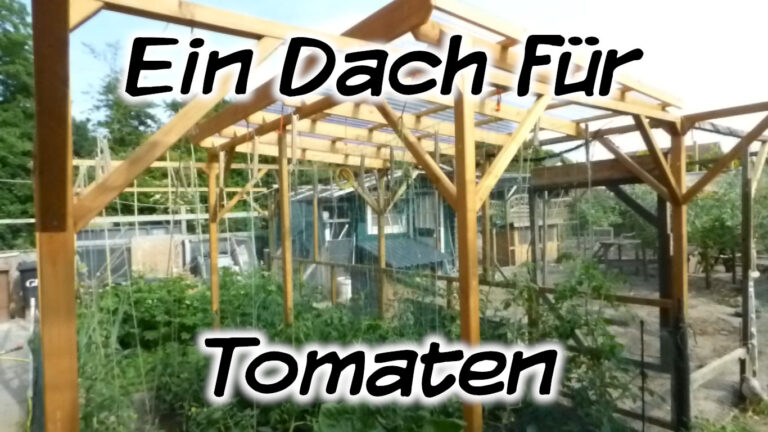 Ein Dach für Tomaten
